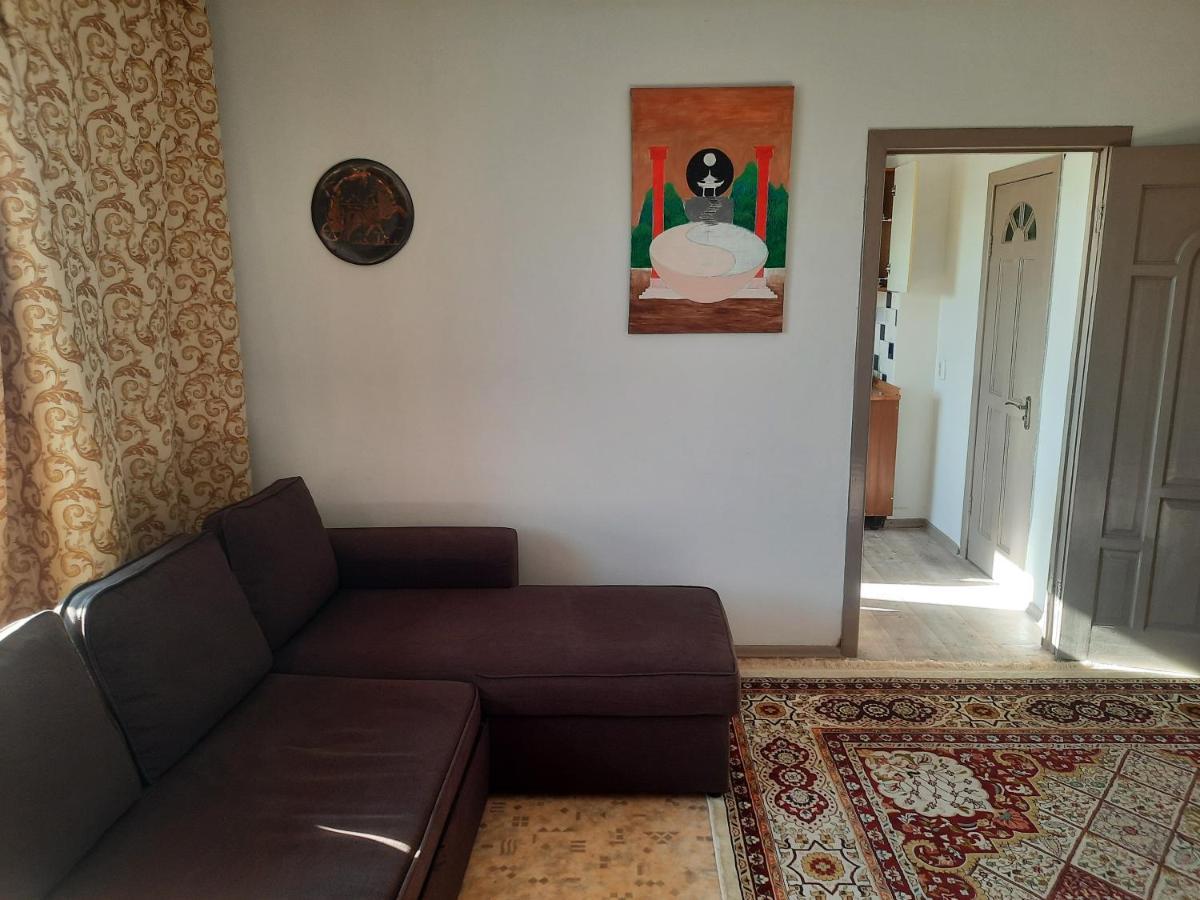 Apartment Shevchenko Panfilova Almaty Bagian luar foto